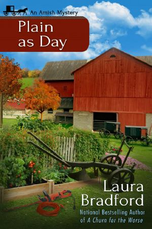 [An Amish Mystery 5.50] • Plain as Day